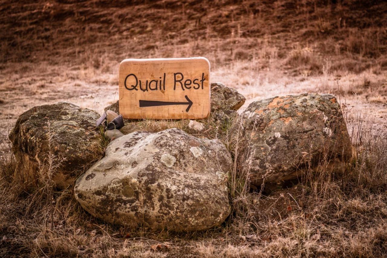 Quail Rest Villa Twizel Buitenkant foto